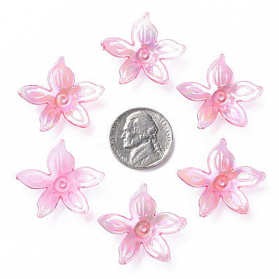 Transparent Acrylic Beads LS-MACR-S373-102-C01-1