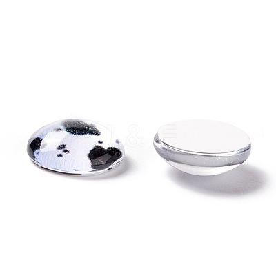 Glass Cabochons GLAA-E022-01-1