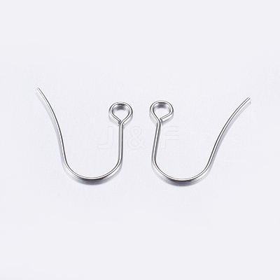 Tarnish Resistant 304 Stainless Steel Earring Hooks STAS-P162-13P-A-1