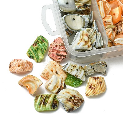 125G 5 Colors Natural Shell Bead Strands BSHE-FS0001-06B-1