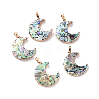 Natural Abalone Shell/Paua Shell Pendants SSHEL-L019-08G-1
