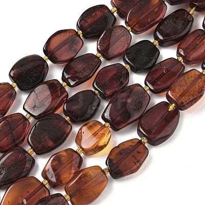 Natural Amber Beads Strands G-L095-C01-03-1