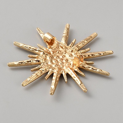Alloy Rhinestone Lapel Pins for Clothes JEWB-WH0056-005G-1