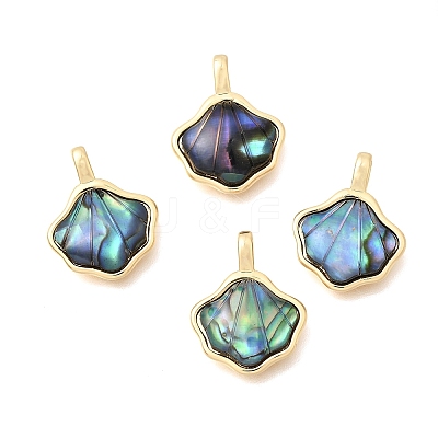 Brass Natural Abalone Shell/Paua Shell Pendants KK-N289-06G-1