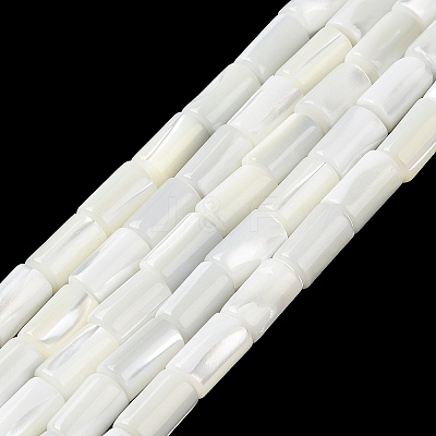 Natural Trochus Shell Beads Strands BSHE-Z003-18-1