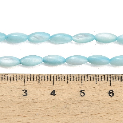 Natural Freshwater Shell Beads Strands SHEL-C010-01C-1