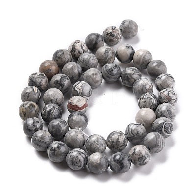 Natural Map Stone/Picasso Stone/Picasso Jasper Round Beads Strands G-E329-10mm-47-1