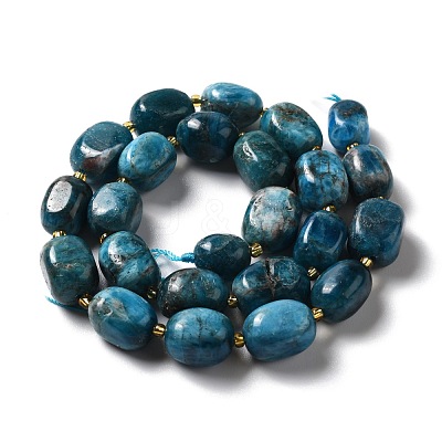 Natural Apatite Beads Strands G-B028-B09-1