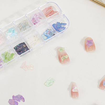1 Set 12 Colors Shell Slices MRMJ-SP0001-05B-1