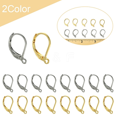 40Pcs 2 Colors 304 Stainless Steel Leverback Earring Findings STAS-FS0001-69-1