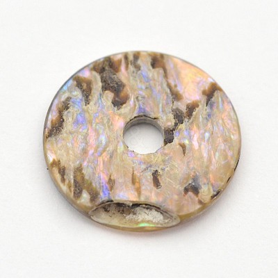 Natural Paua Shell/Abalone Shell Beads SSHEL-E551-31-1