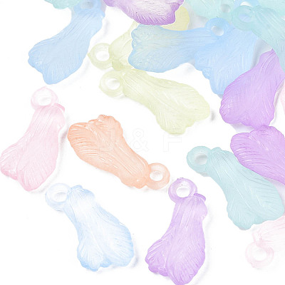 Transparent Acrylic Pendants TACR-S134-031-1