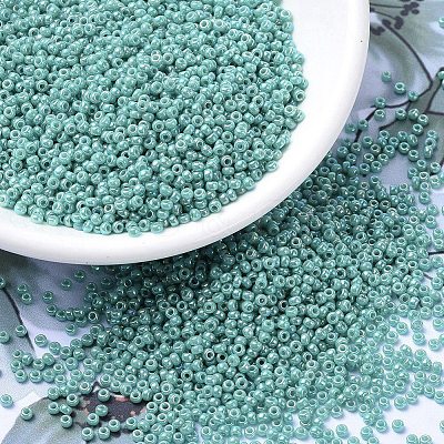 MIYUKI Round Rocailles Beads X-SEED-G007-RR0481-1