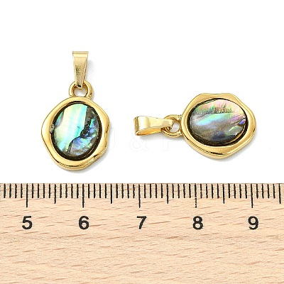 Natural Paua Shell Pendants PALLOY-JF05608-1