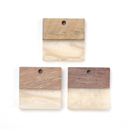 Resin & Walnut Wood Pendants RESI-T023-19A-1