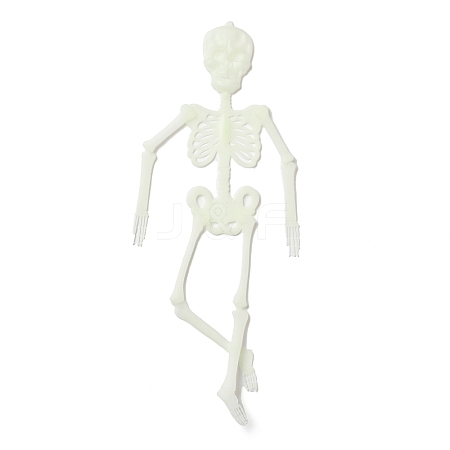 Luminous Plastic Skeleton Model LUMI-PW0006-47A-1