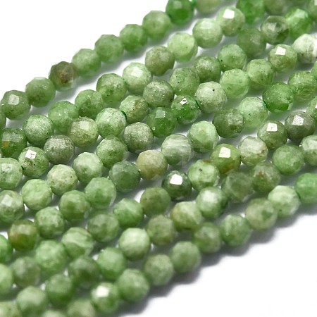 Natural Green Diopside Beads Strands G-P438-C02-2mm-1