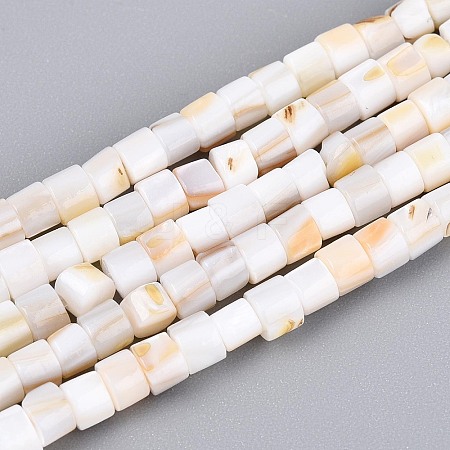 Natural Freshwater Shell Beads Strands SHEL-N027-09A-1