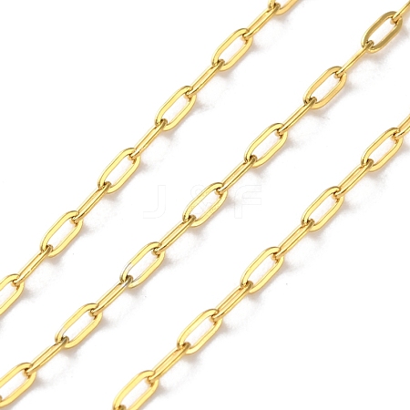 304 Stainless Steel Paperclip Chains CHS-R020-06G-01-1