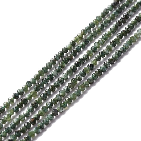 Natural Seraphinite Beads Strands G-A021-07B-1