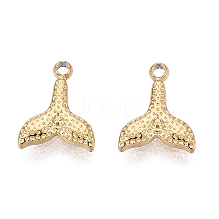 304 Stainless Steel Charms STAS-N125-24B-G-1