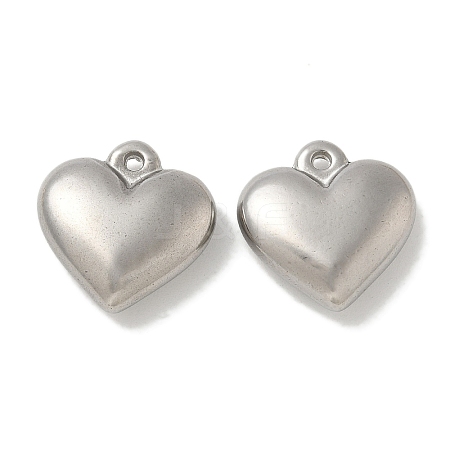 Anti-Tarnish 304 Stainless Steel Pendants STAS-Q334-21P-1