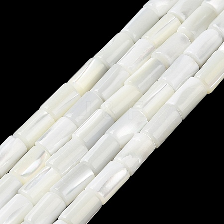 Natural Trochus Shell Beads Strands BSHE-Z003-18-1