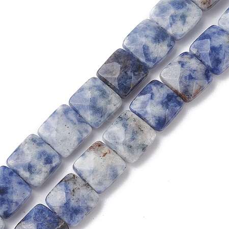 Natural Blue Spot Jasper Beads Strands G-K359-B19-01-1