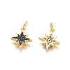 Brass Micro Pave Cubic Zirconia Charms X-ZIRC-G161-24-2