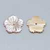 White Shell Beads SSHEL-S260-094A-2