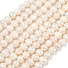 Natural Cultured Freshwater Pearl Beads Strands PEAR-L034-10A-2