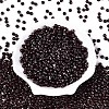 Picasso Baking Paint Glass Seed Beads SEED-N007-35L-2