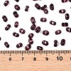 Picasso Spray Painted Glass Seed Beads SEED-T006-04-22-4