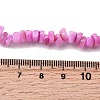 Natural Freshwater Shell Beads SHEL-B003-01F-4