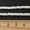 Natural Freshwater Shell Beads Strands BSHE-G039-03-4