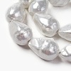 Shell Pearl Beads Strands BSHE-F013-13-2