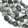 Natural Tree Agate Beads Strands G-D362-A02-4