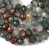 Natural African Bloodstone Beads Strands G-D344-A01-5