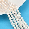 Natural Cultured Freshwater Pearl Beads Strands PEAR-I007-07Y-01A-1