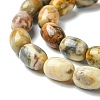 Barrel Shaped Gemstone Natural Crazy Lace Agate Beads Strands X-G-S114-08-5