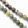 Round Natural Indian Agate Beads Strands X-G-S122-4mm-1