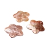 Sea Shell Pendants SSHEL-C008-13-1