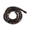 Natural Biotite Beads Strands G-L624-I12-2x4mm-3