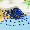 1 Bag Pointed Back Glass Rhinestone Cabochons RGLA-TADJ0001-01B-09-4