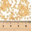 Transparent Colours Glass Seed Beads SEED-H004-01G-3