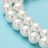 Shell Pearl Bead Strands BSHE-L026-03-6mm-6