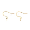 316 Surgical Stainless Steel Earring Hooks STAS-K274-10G-1