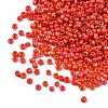 Opaque Glass Seed Beads SEED-S023-01C-11-3