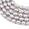 Natural Cultured Freshwater Pearl Beads Strands PEAR-F020-06-4