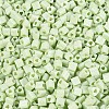 FGB Baking Paint Glass Seed Beads SEED-Q040-09A-10-3